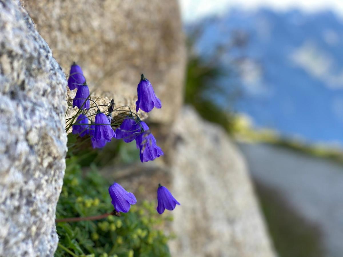 Rocky Studio Chamonix Sud Apartment Bagian luar foto