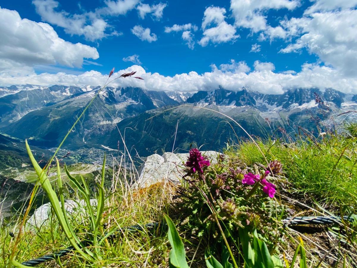 Rocky Studio Chamonix Sud Apartment Bagian luar foto